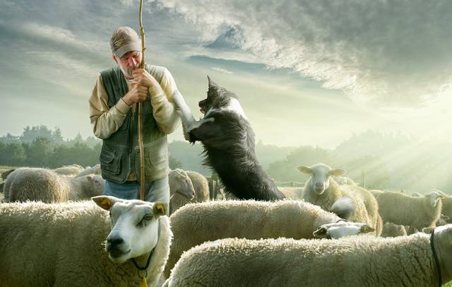 Counting-sheepzzzZZZzzz-(A.Sommeling)-1